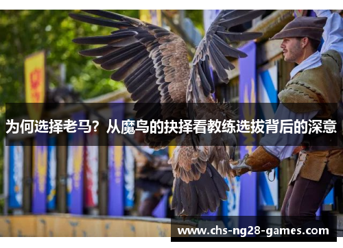 为何选择老马?从魔鸟的抉择看教练选拔背后的深意 为何选择老马?从魔鸟的抉择看教练选拔背后的深意